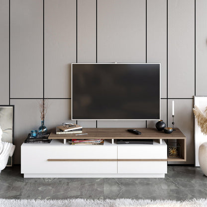 Pia 71" TV Stand and Media Console with Cabinets and Shelves for TVs up to 80"