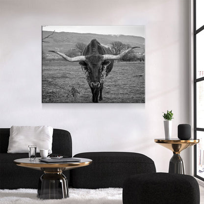 Texas Longhorn Black & White Canvas Wall Art, Ranch Art, XL Wall Art, Ranch Style Home Decor, Black and White Texas Longhorn